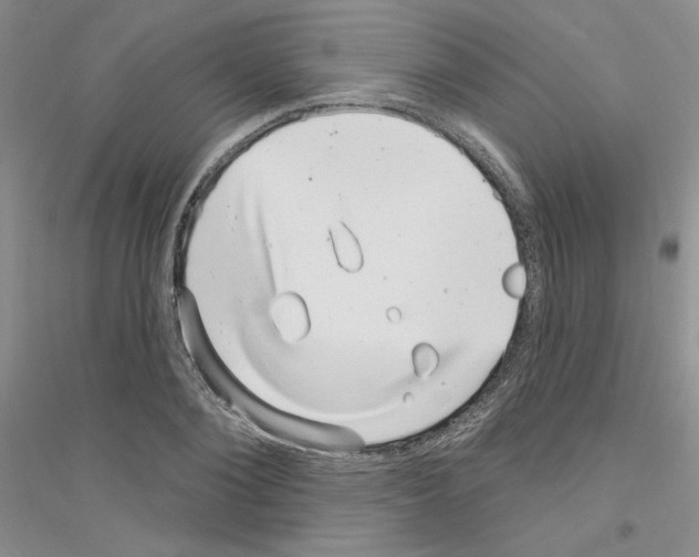 X0000116890884201002021207