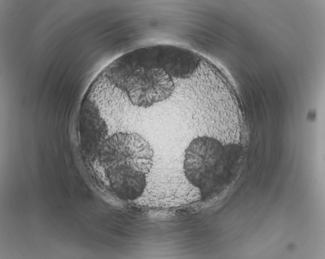 X0000116890887201002021207