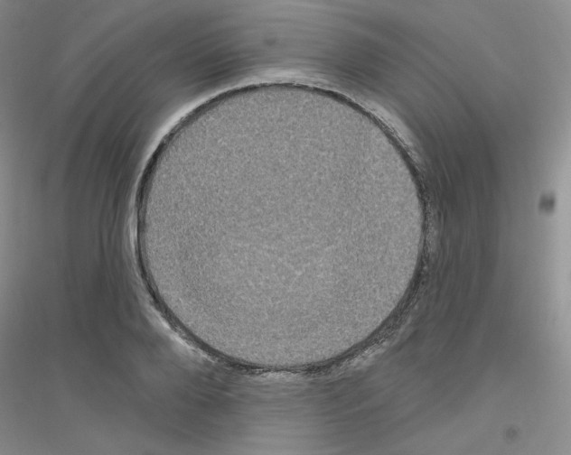 X0000116890888201002021207