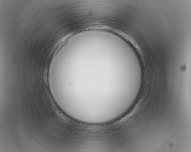 X0000116890889201002021207