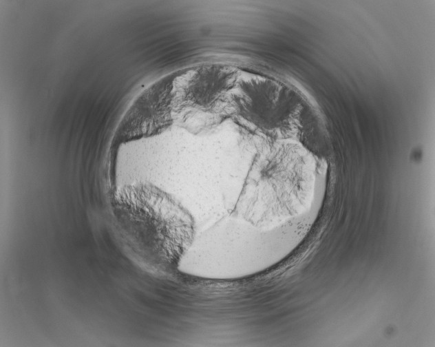 X0000116890891201002021207