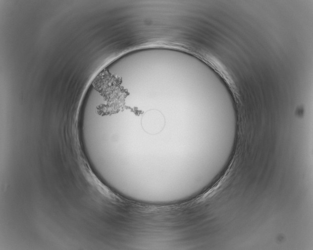 X0000116890892201002021207