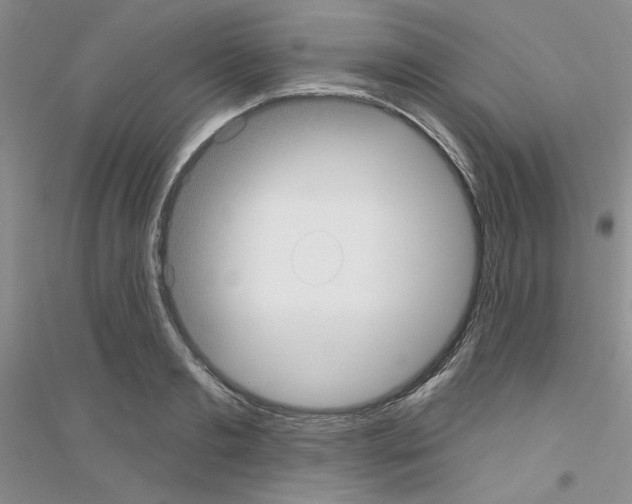 X0000116890893201002021207