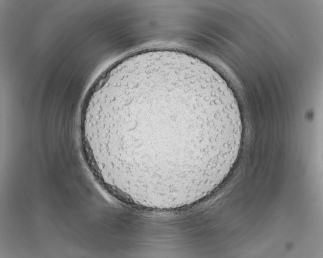 X0000116890894201002021207