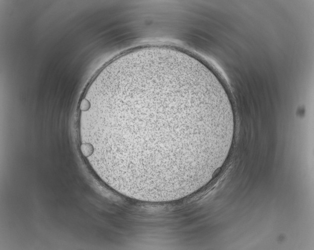 X0000116890895201002021207