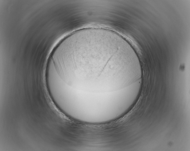 X0000116890896201002021207