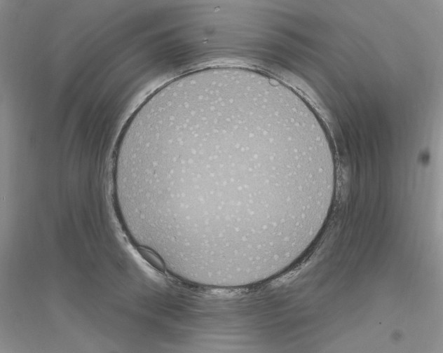 X0000116890898201002021206