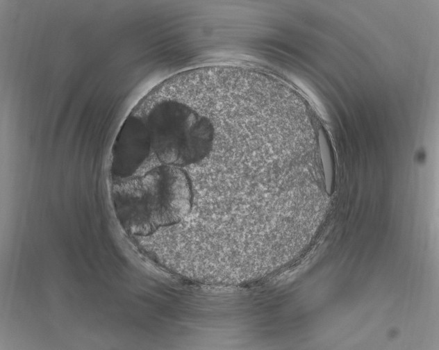 X0000116890899201002021206