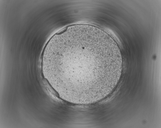 X0000116890900201002021206