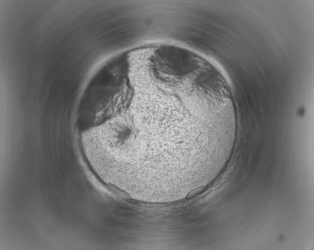 X0000116890903201002021206