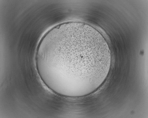 X0000116890904201002021206