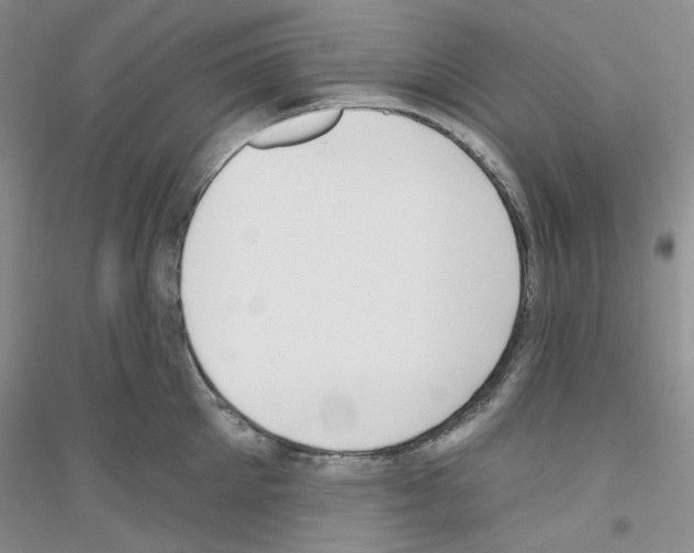 X0000116890905201002021206