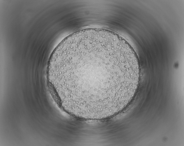 X0000116890906201002021206