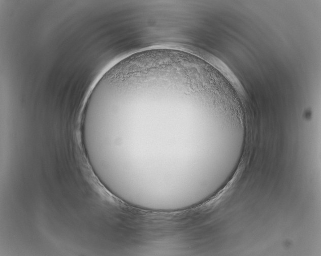 X0000116890908201002021206