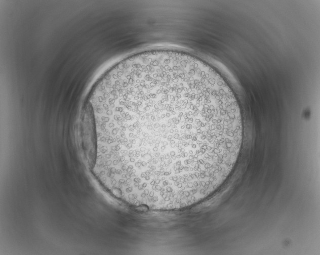 X0000116890910201002021206