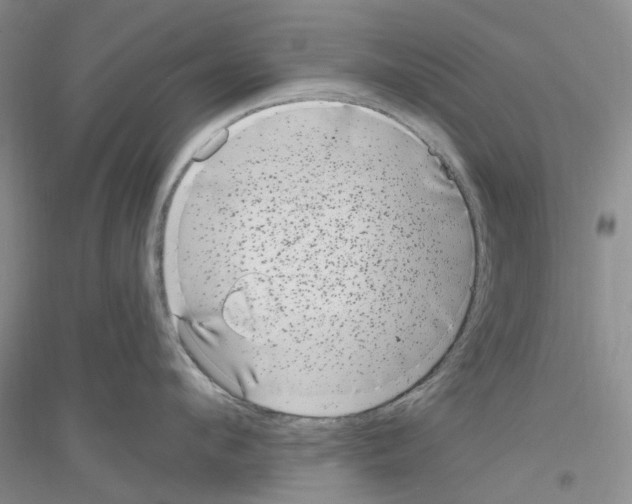 X0000116890912201002021206