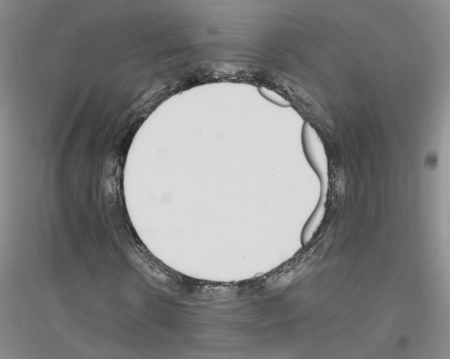 X0000116890914201002021206