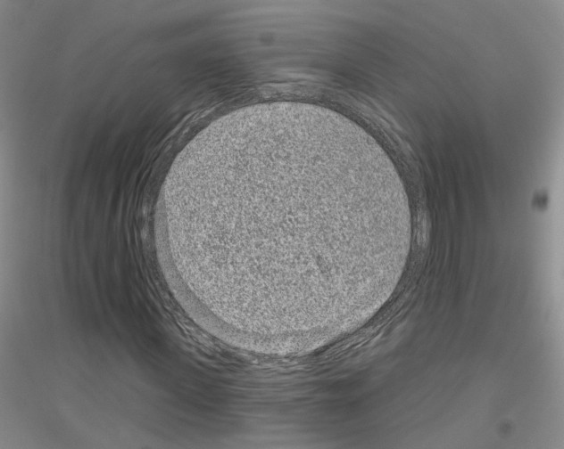 X0000116890915201002021206