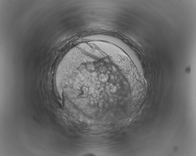 X0000116890917201002021206