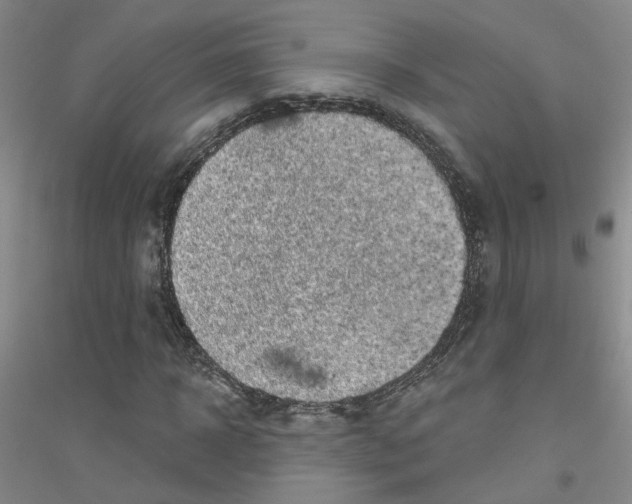 X0000116890918201002021206