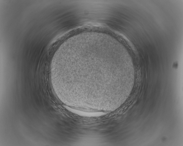 X0000116890919201002021206