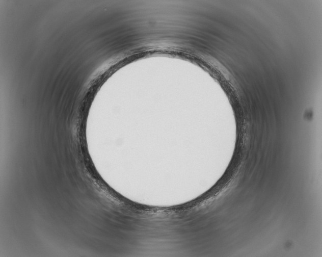 X0000116890922201002021206