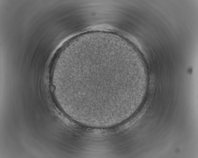 X0000116890923201002021206