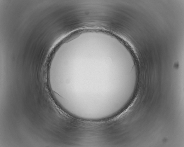 X0000116890925201002021206