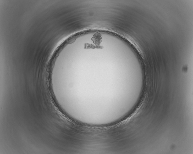 X0000116890926201002021206