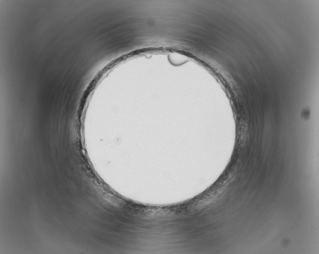 X0000116890927201002021206