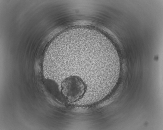 X0000116890929201002021206