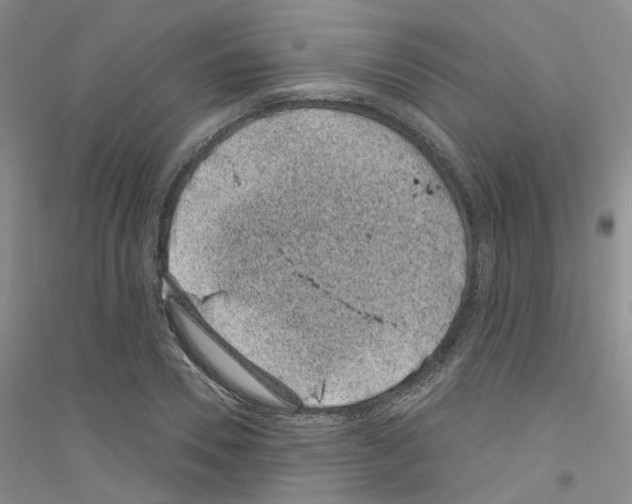 X0000116890930201002021206