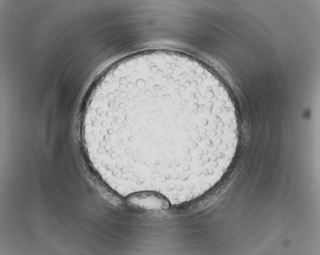 X0000116890931201002021206