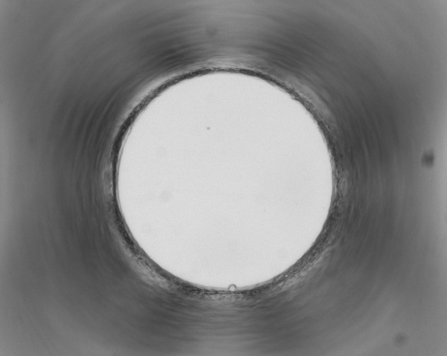 X0000116890934201002021206