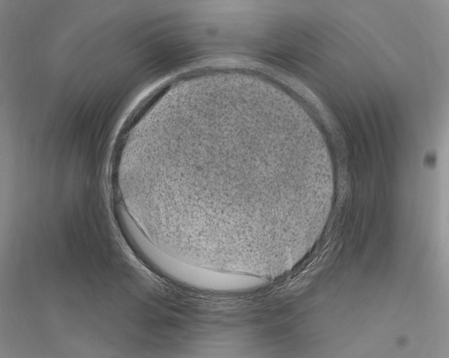 X0000116890935201002021206