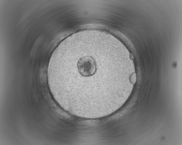 X0000116890937201002021206