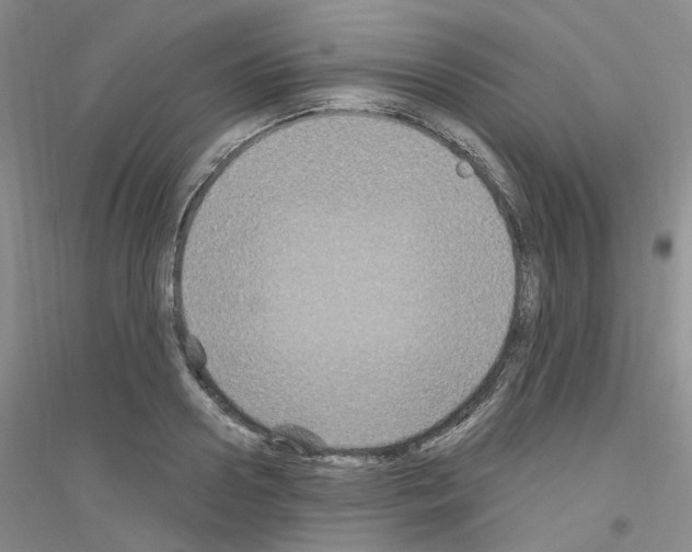 X0000116890938201002021206