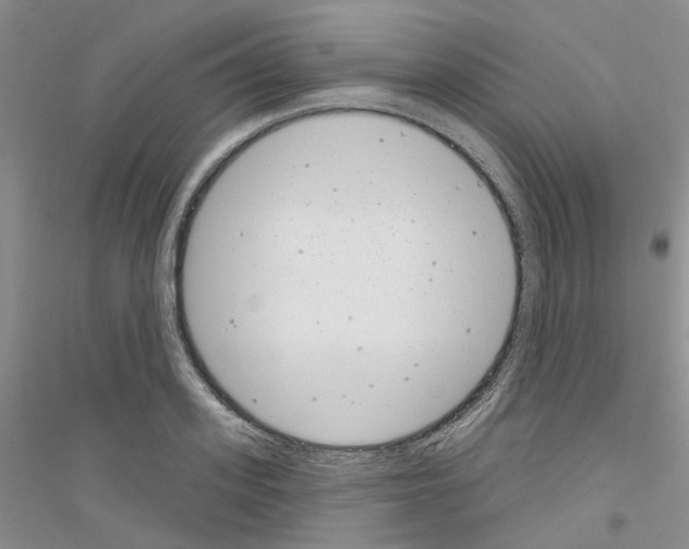 X0000116890939201002021206