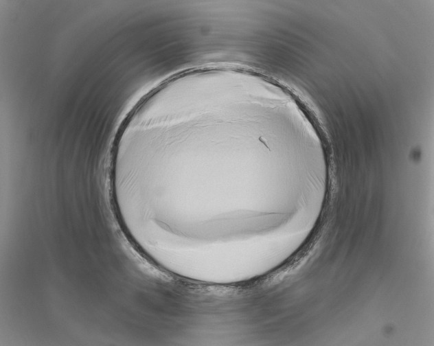 X0000116890941201002021206