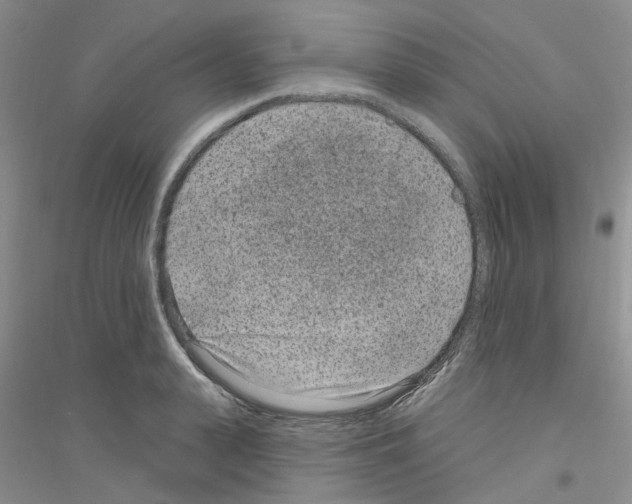 X0000116890943201002021206