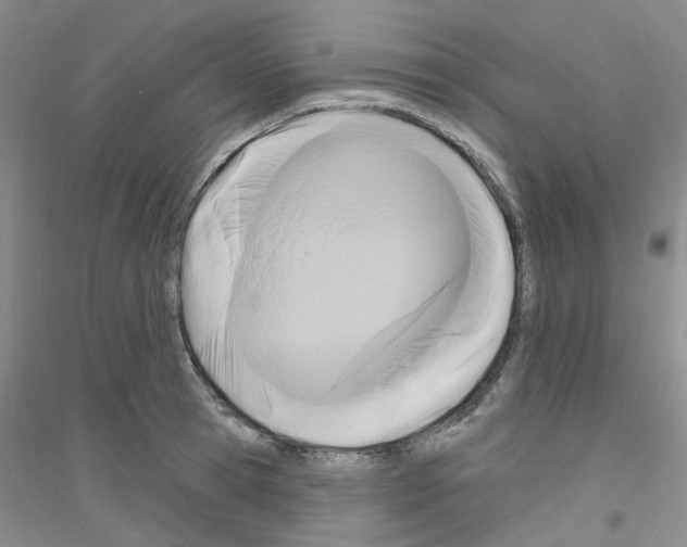 X0000116890945201002021206