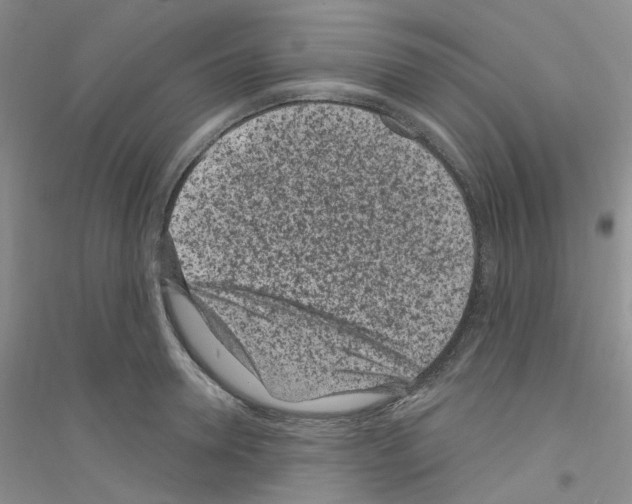 X0000116890946201002021206