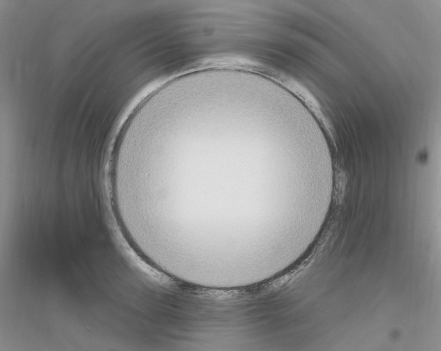 X0000116890947201002021206