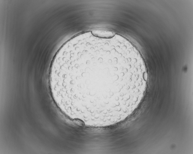 X0000116890949201002021206