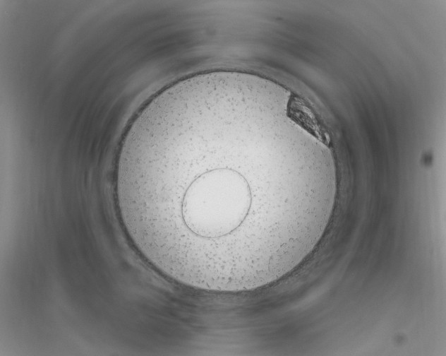 X0000116890950201002021206