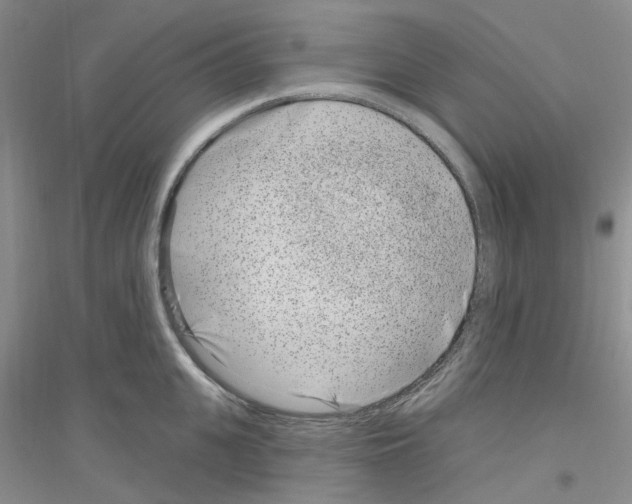 X0000116890951201002021206