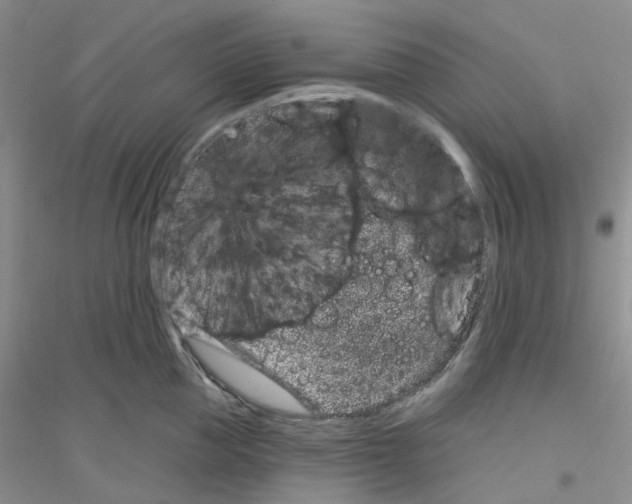 X0000116890953201002021206