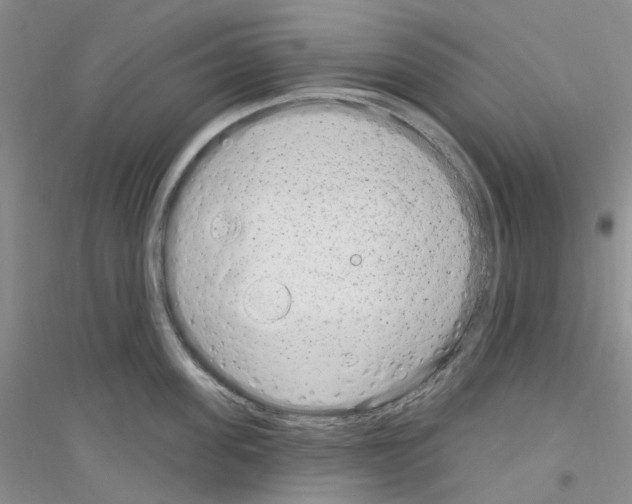 X0000116890955201002021206