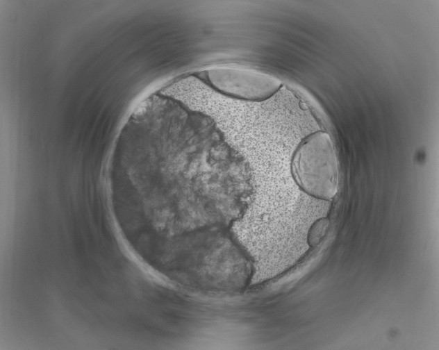 X0000116890957201002021206