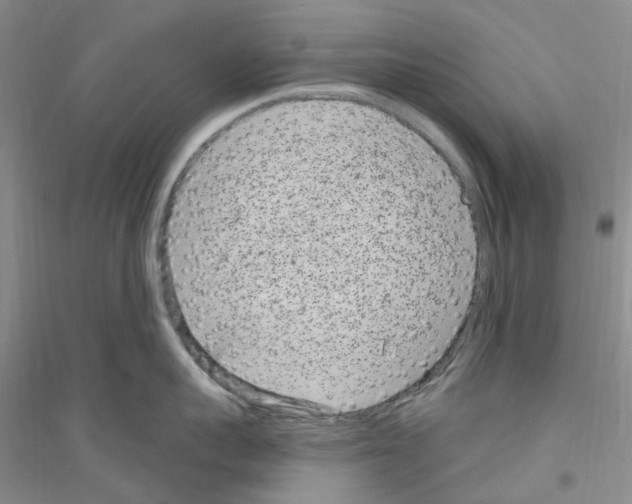 X0000116890959201002021206